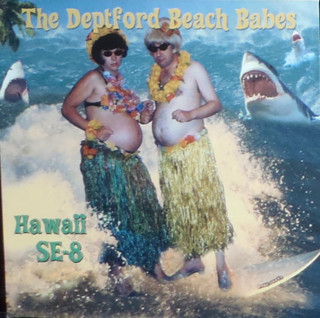 Hawaii SE-8