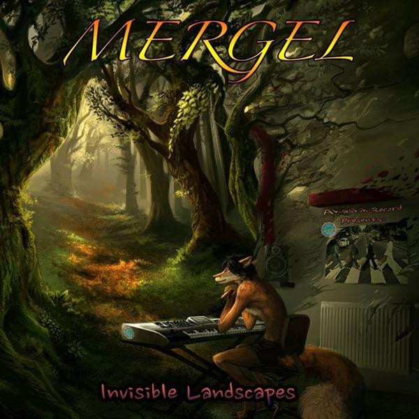 Invisible Landscapes