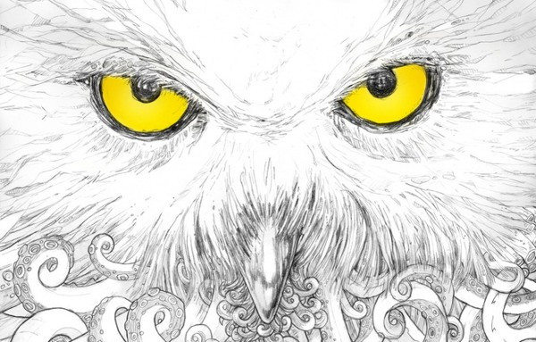 The Yellow Album