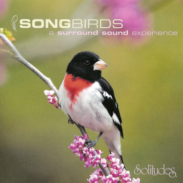 Songbirds: A Surround Sound Experience