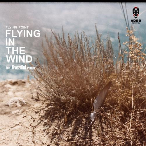 Flying In The Wind