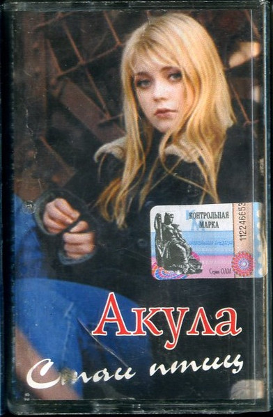Стаи Птиц