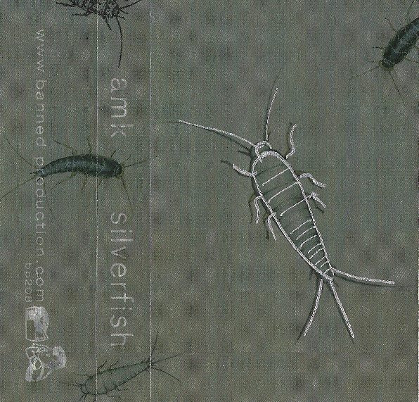 Silverfish