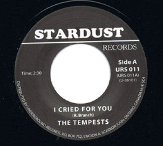I Cried For You