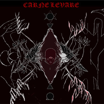 Carne Levare