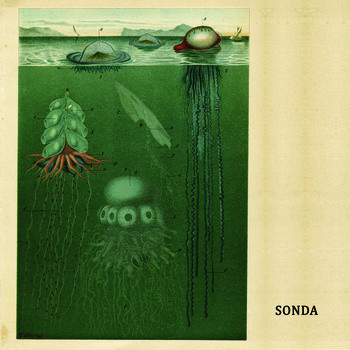 Sonda