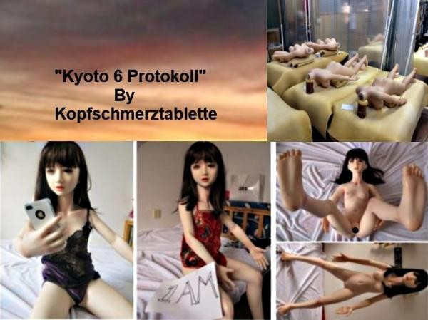 Kyoto 6 Protokoll
