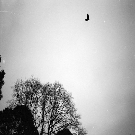 On The Wings Of Time