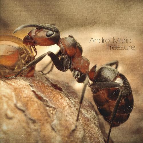 Treasure