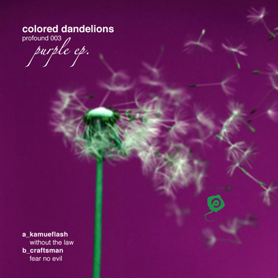 Colored Dandelions Purple