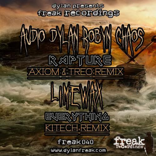 Rapture / Everything Remixes