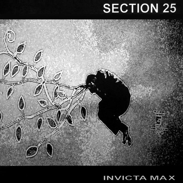 Invicta Max