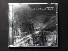 Imprints of Dreams in Hyaline Ice