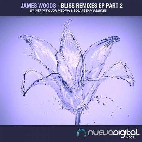 Bliss Remixes EP Part 2
