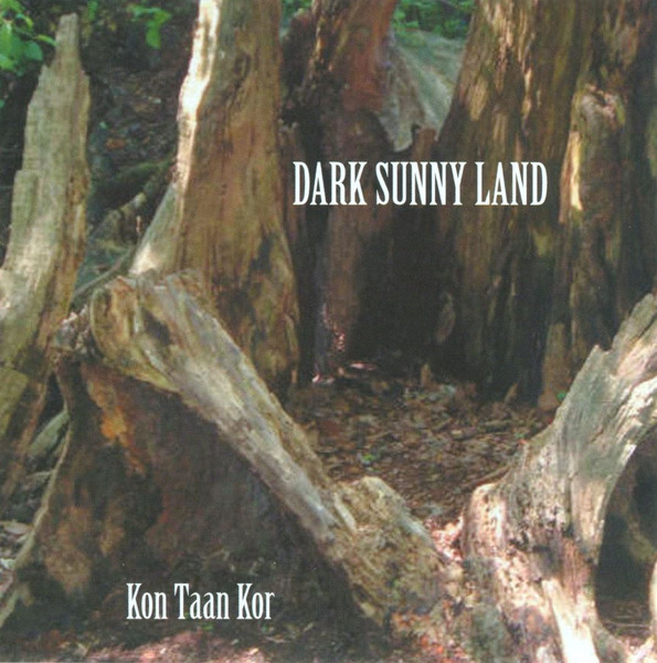 Dark Sunny Land