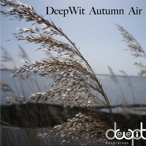Deepwit Autumn Air