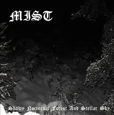 Snowy Nocturnal Forest And Stellar Sky