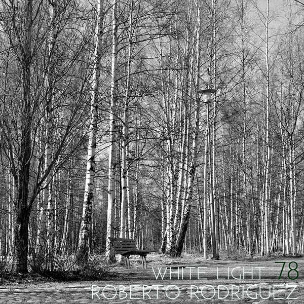 White Light 78
