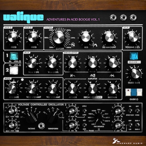 Adventures In Acid Boogie Vol. 1