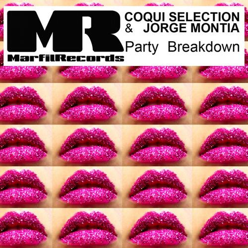 Party Breakdown