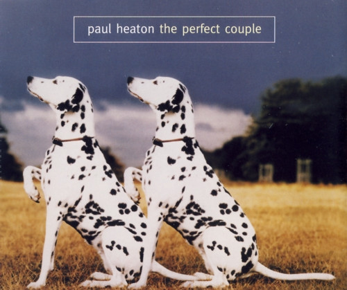 The Perfect Couple