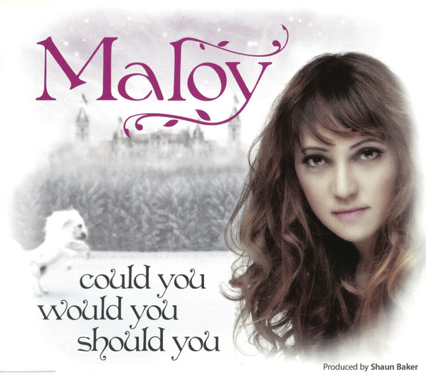 Could You Would You Should You