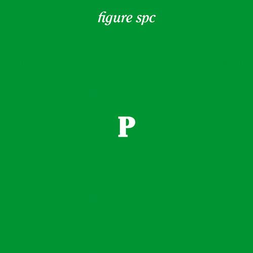 Figure SPC P