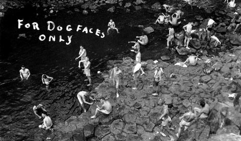 For Dog Faces Only