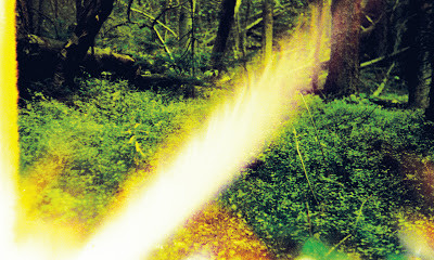 Canopy / Mardotsha