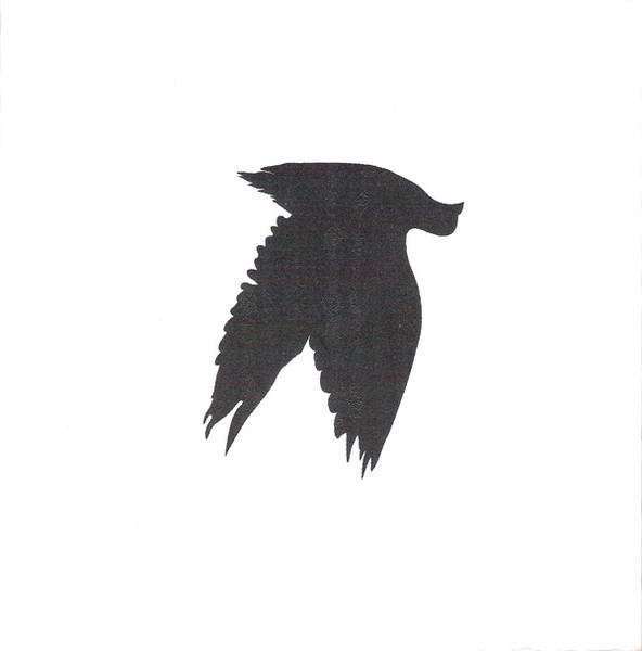 I'm Still Finding Feathers In My Hair
