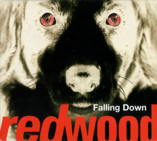 Falling Down