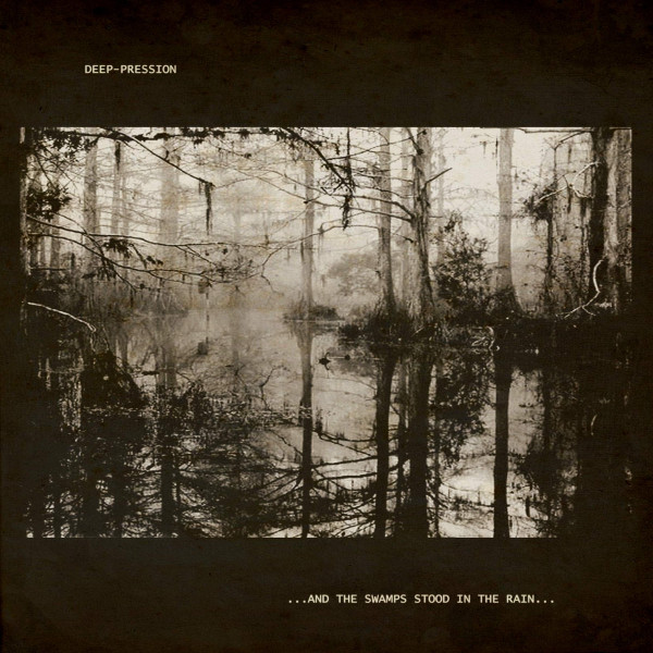 ...And The Swamps Stood In A Rain...