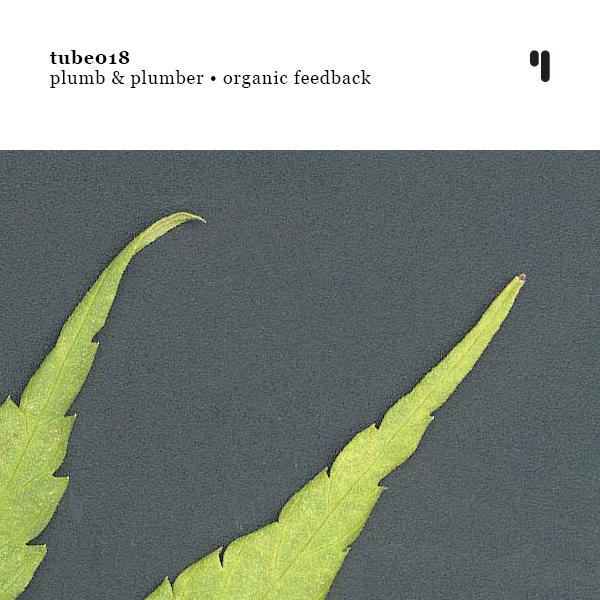 Organic Feedback