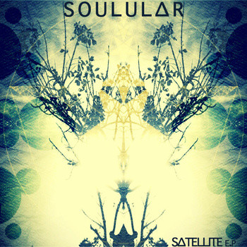 Satellite