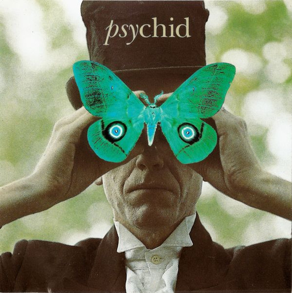 Psychid