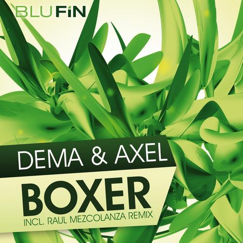 Boxer