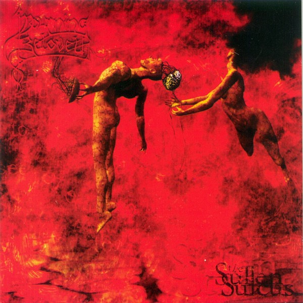 The Sullen Sulcus