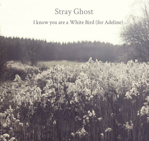  I Know You Are A White Bird (For Adeline)