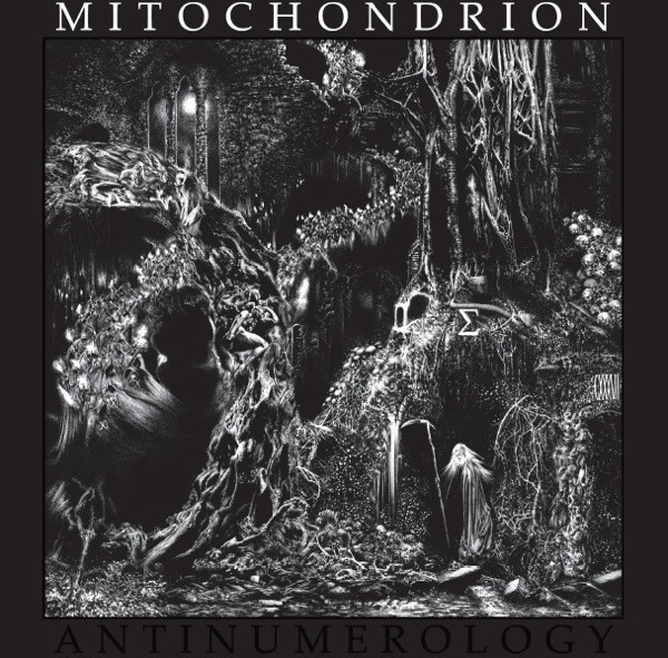 Antinumerology