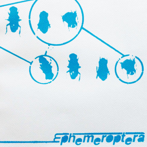 Ephemeroptera Quarterly Issue I