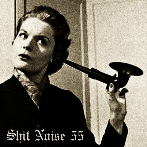Shit Noise 55