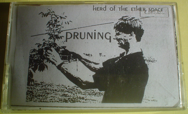 Pruning