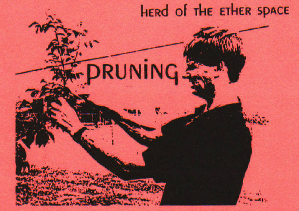 Pruning