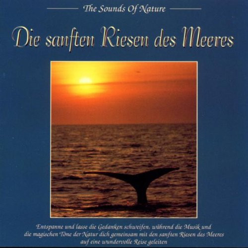 Die Sanften Riesen Des Meeres