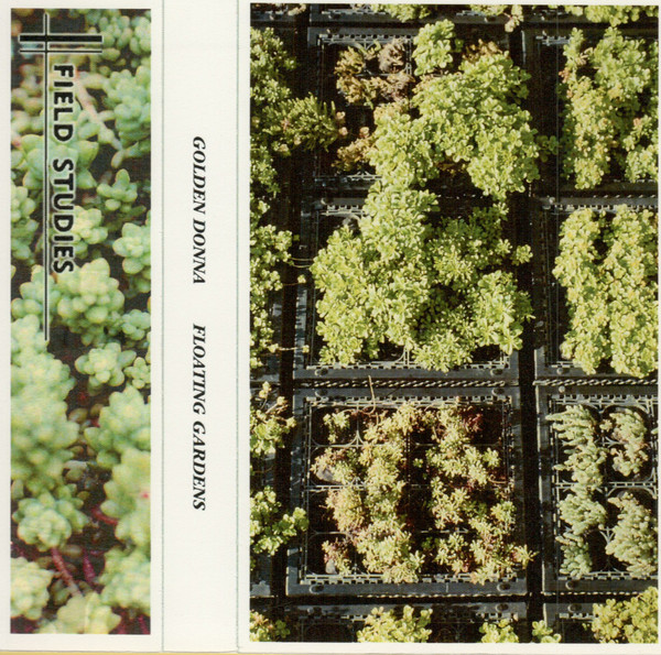 Golden Donna / Floating Gardens