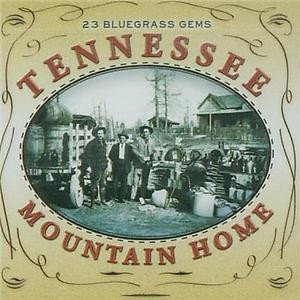 Tennessee Mountain Home 23 Bluegrass Gems