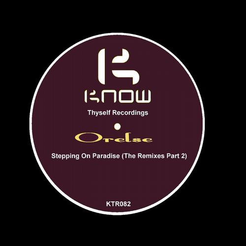 Stepping On Paradise (The Remixes Part 2)