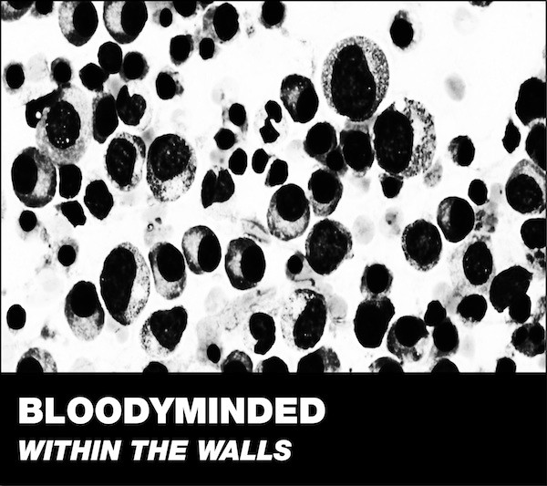 Within The Walls