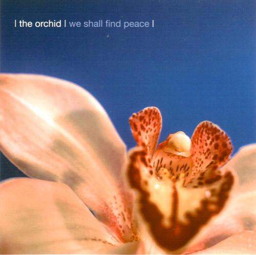 We Shall Find Peace