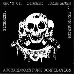 Voices N°2 - Auchardcore Punk Compilation